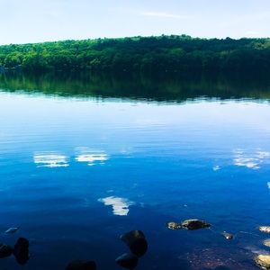 Meet your Posher, Shauna